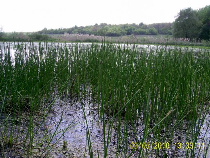 Солоницівка з panoramio.com - Solonytsivka