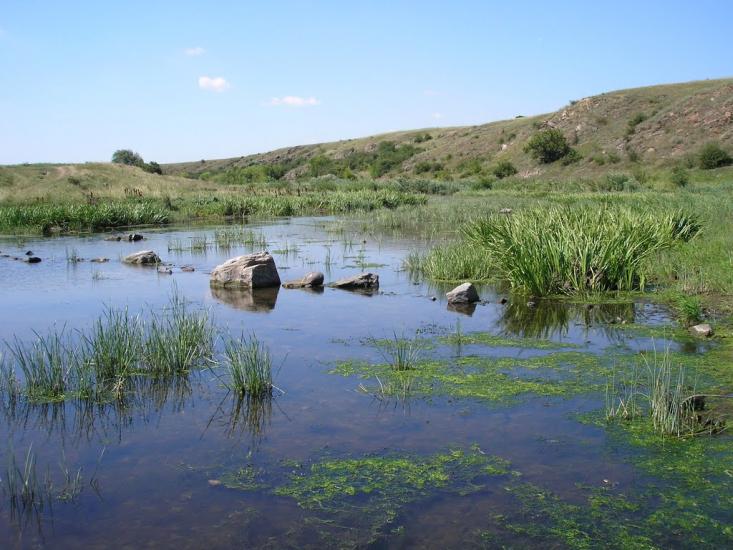 Недайвода з panoramio.com - Недайвода