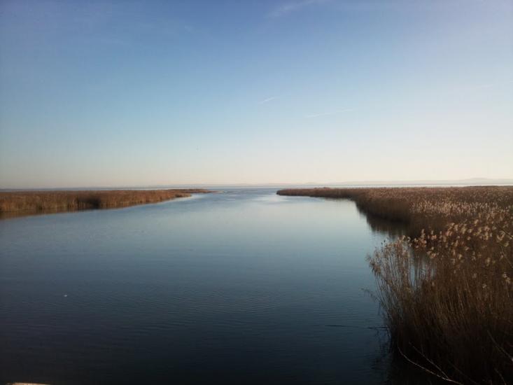 Нова Некрасівка з panoramio.com - Нова Некрасівка