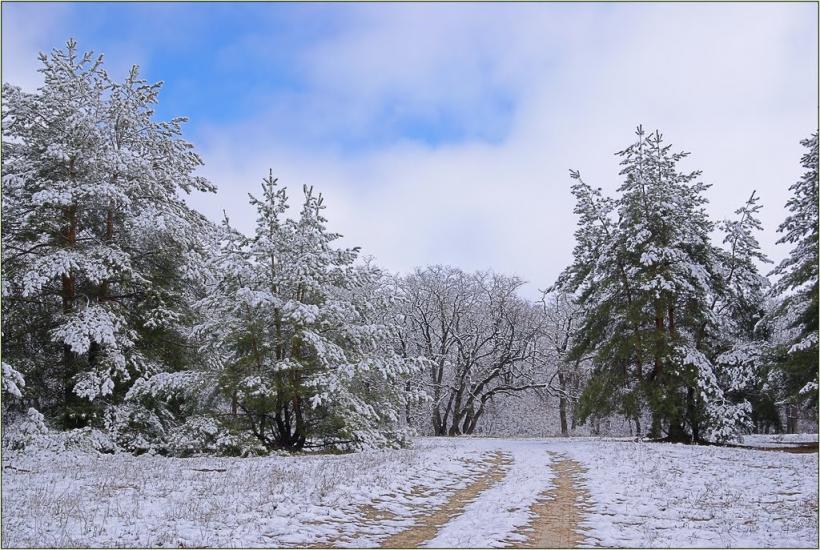 Кицівка з panoramio.com - Кицевка