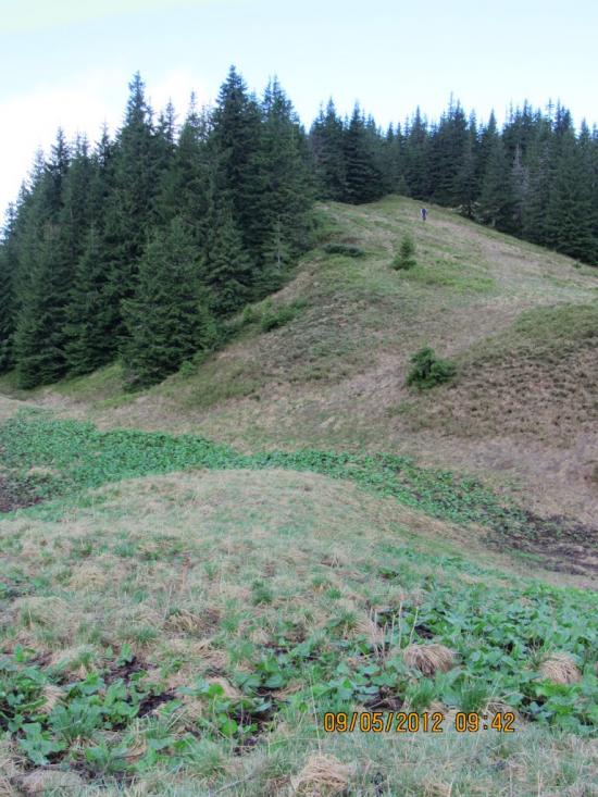 Мислівка з panoramio.com - Мысливка