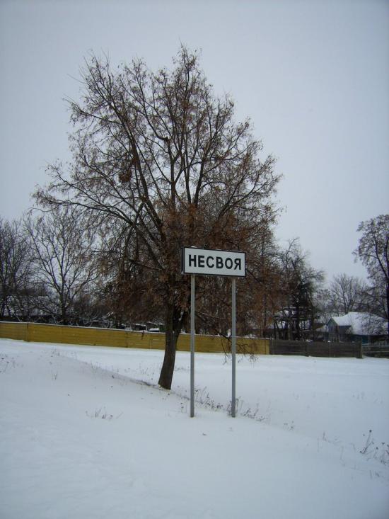 Несвоя з panoramio.com - Несвоя