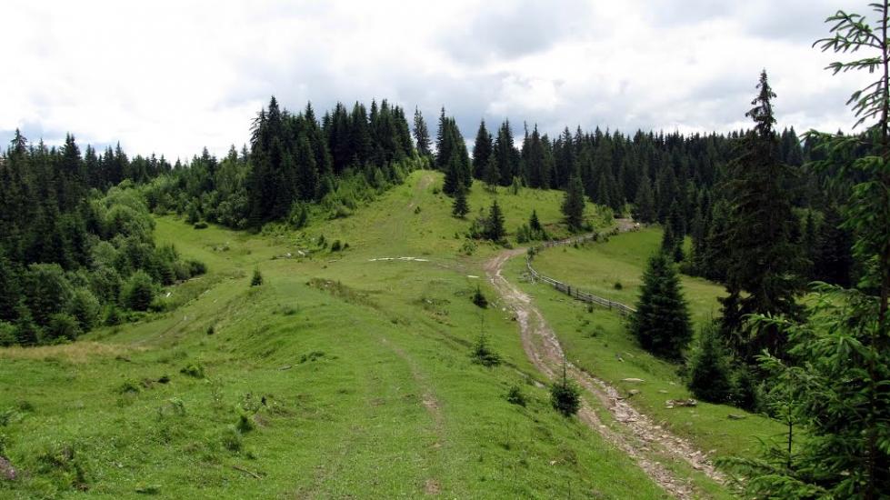 Сенечів з panoramio.com - Сенечів