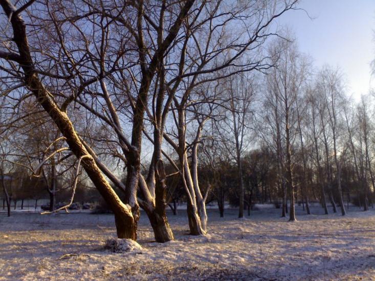 Городня з panoramio.com - Городня