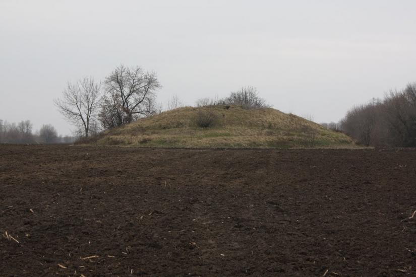 Лящівка з panoramio.com - Lyaschivka