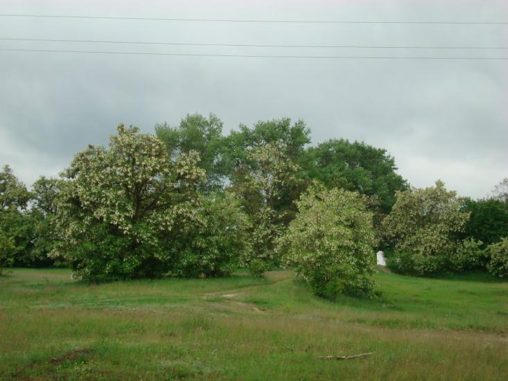 Заїзд з panoramio.com - Заїзд