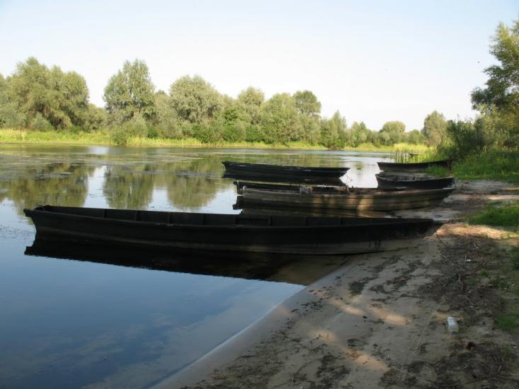 Хрещатик з panoramio.com - Крещатик