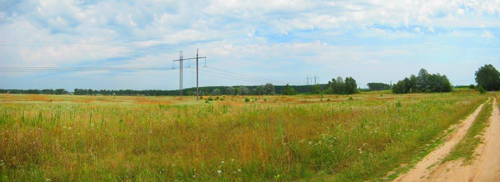 Велика Димерка з panoramio.com - Великая Дымерка