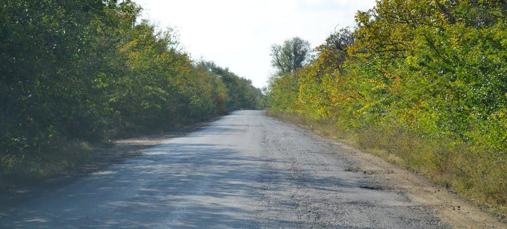 Матишівка з panoramio.com - Матышевка