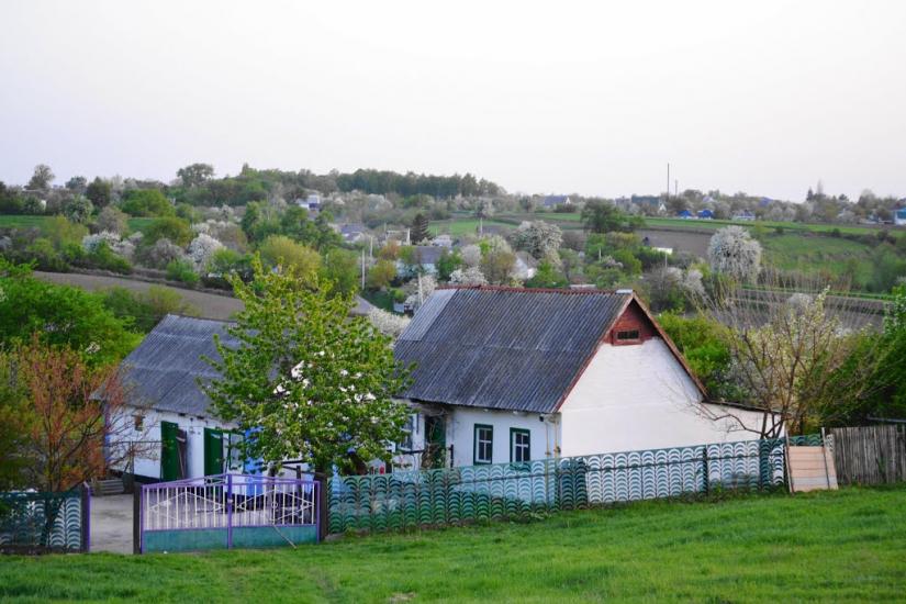 Дрозди з panoramio.com - Дрозди