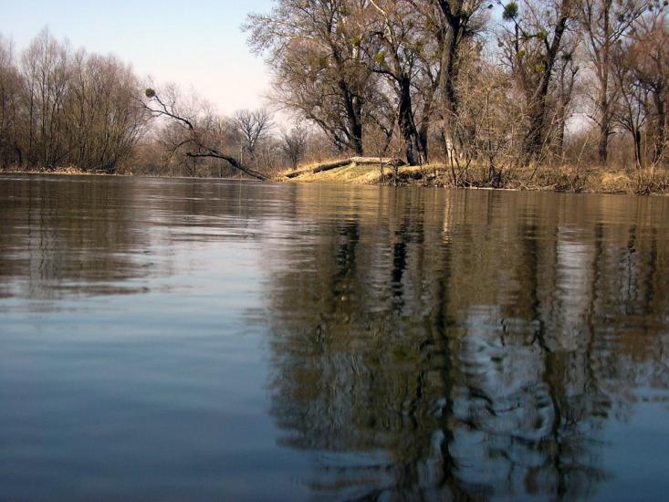 Синичине з panoramio.com - Synychyne