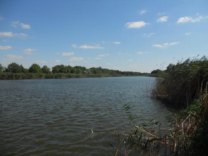 Шевченківка з panoramio.com - Shevchenkivka