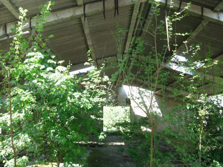Петрівське з panoramio.com - Петрівське