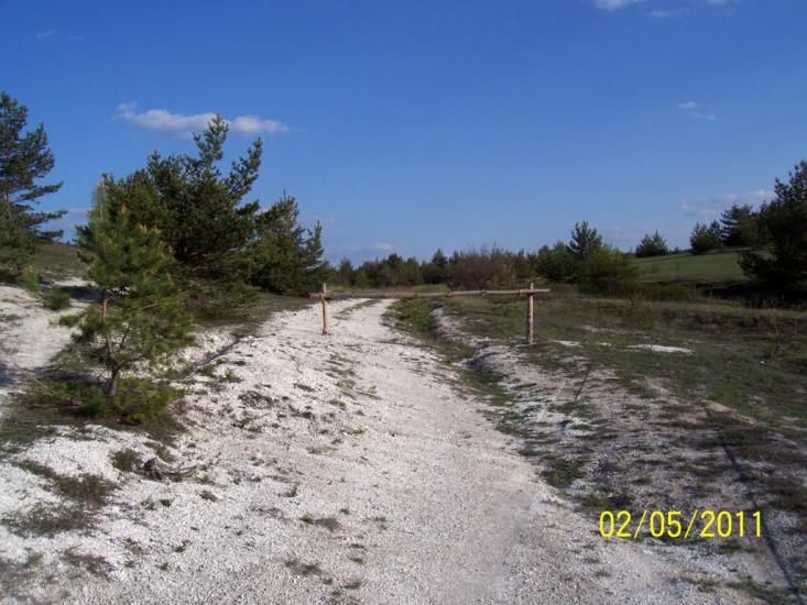 Пискунівка з panoramio.com - Pyskunivka