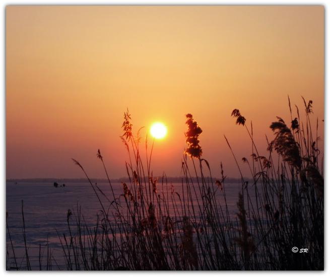 Ювілейне з panoramio.com - Yuvileyne