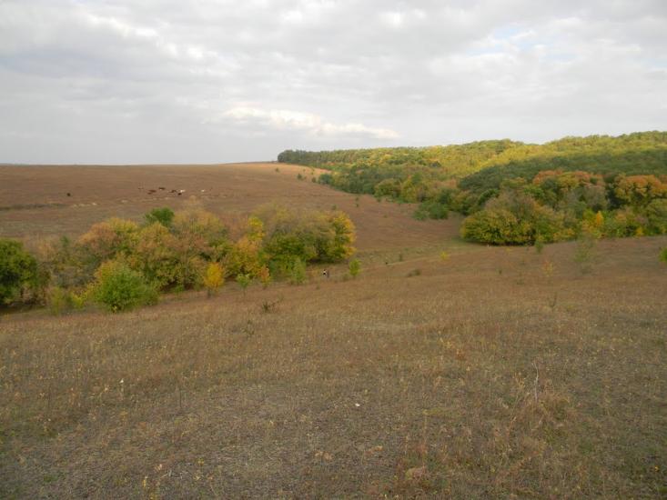 Івангород з panoramio.com - Ивангород
