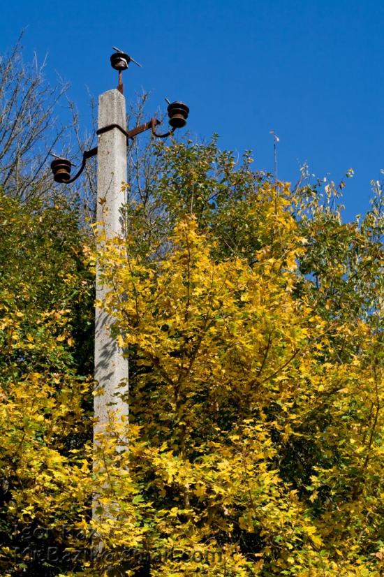Піонерське з panoramio.com - Пионерское