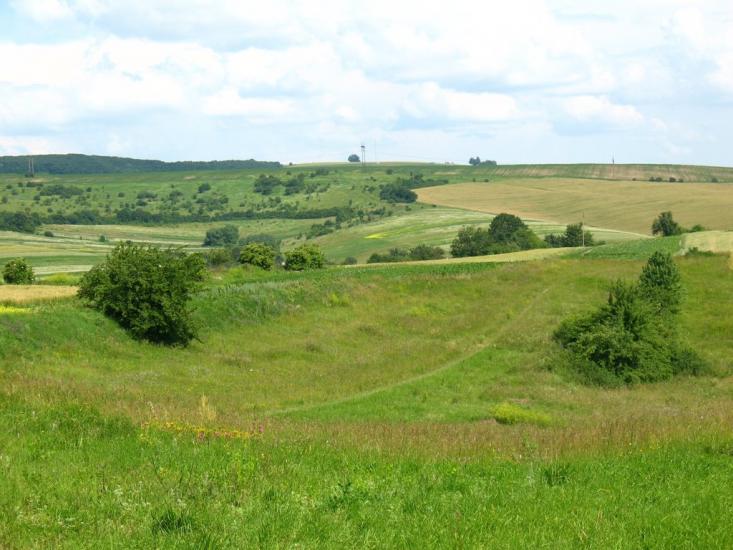 Пуків з panoramio.com - Pukiv