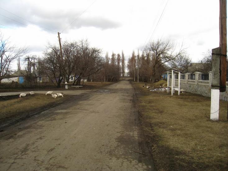 Рокита з panoramio.com - Ракита