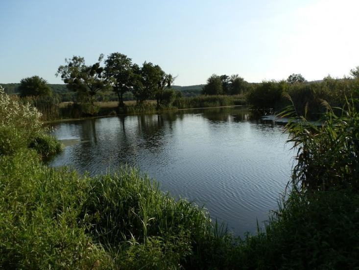 Бушеве з panoramio.com - Бушеве