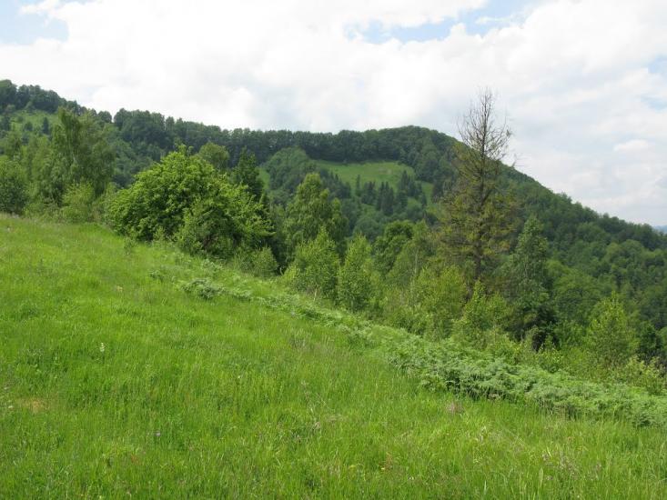 Розтоки з panoramio.com - Розтоки