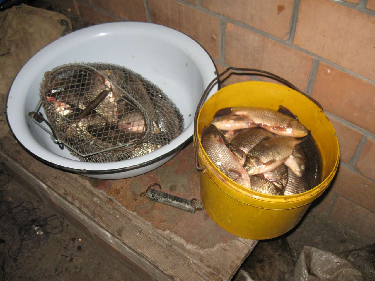 РІДНЕ - Коломийцево Озеро