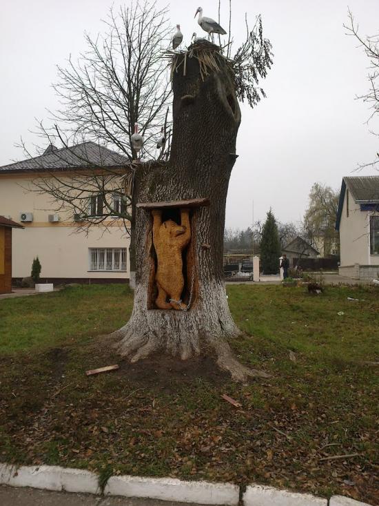 Глибока з panoramio.com - Глибока