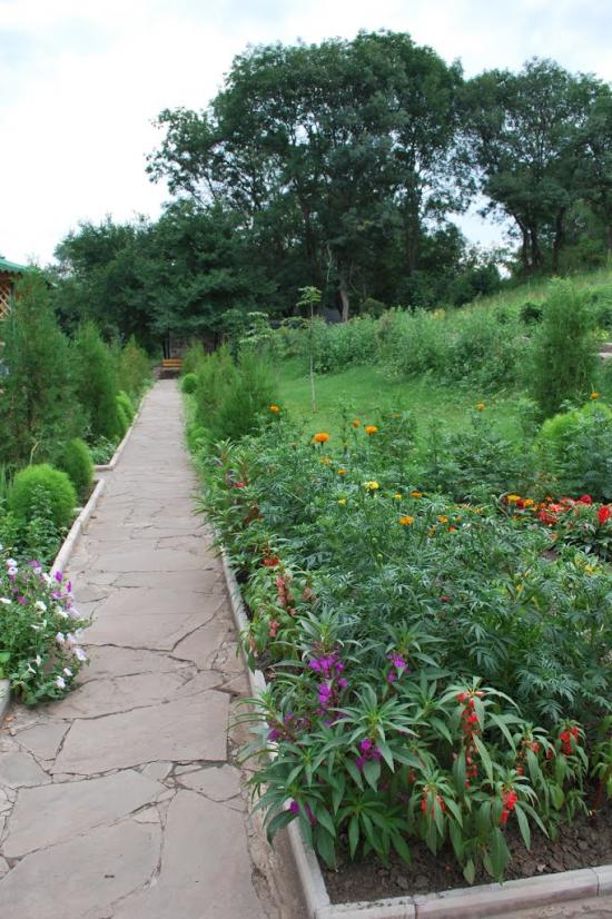 Сніжне з panoramio.com - Snizhne