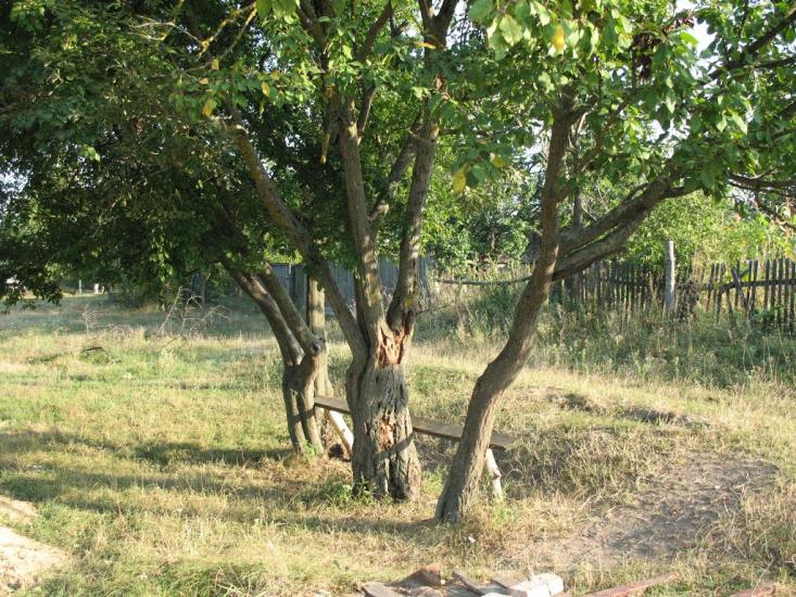 Обмачів з panoramio.com - Обмачів