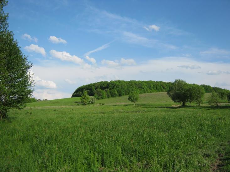 Олександрівка з panoramio.com - Oleksandrivka