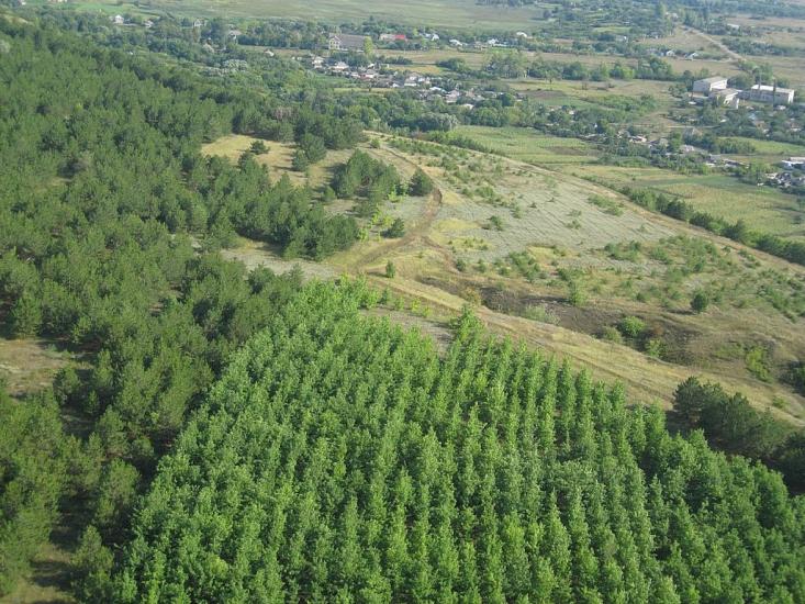 Городище з panoramio.com - Городище