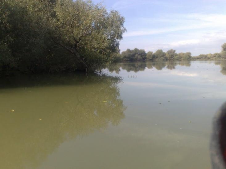 Дунайське з panoramio.com (ч.2) - Дунайське