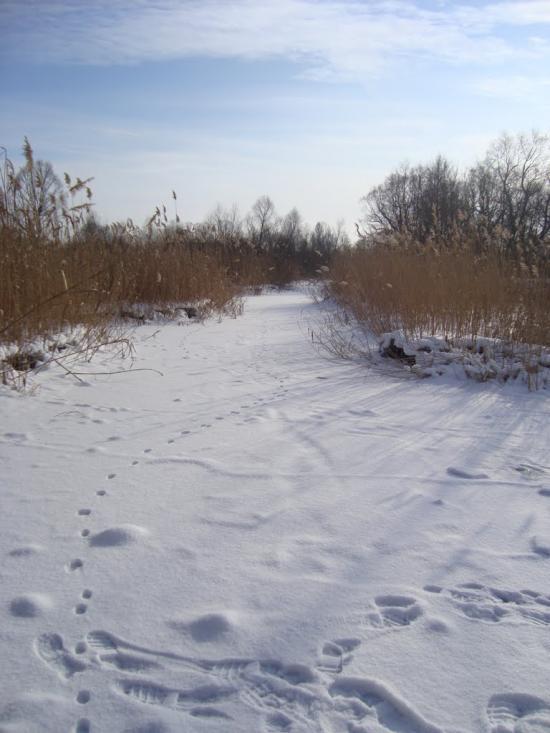 Наталине з panoramio.com - Наталино