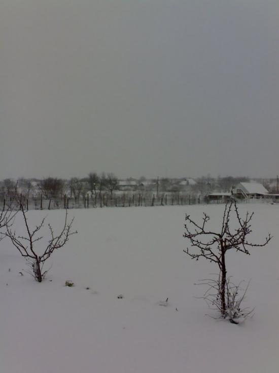 Ленінське Перше з panoramio.com - Ленінське Перше