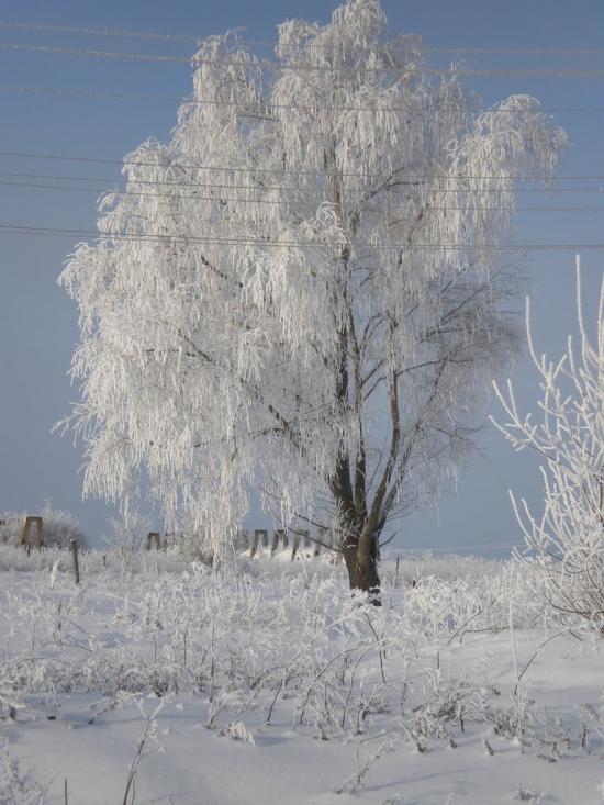 Ховзівка з panoramio.com - Khovzivka