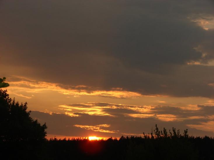 Борова з panoramio.com - Борова