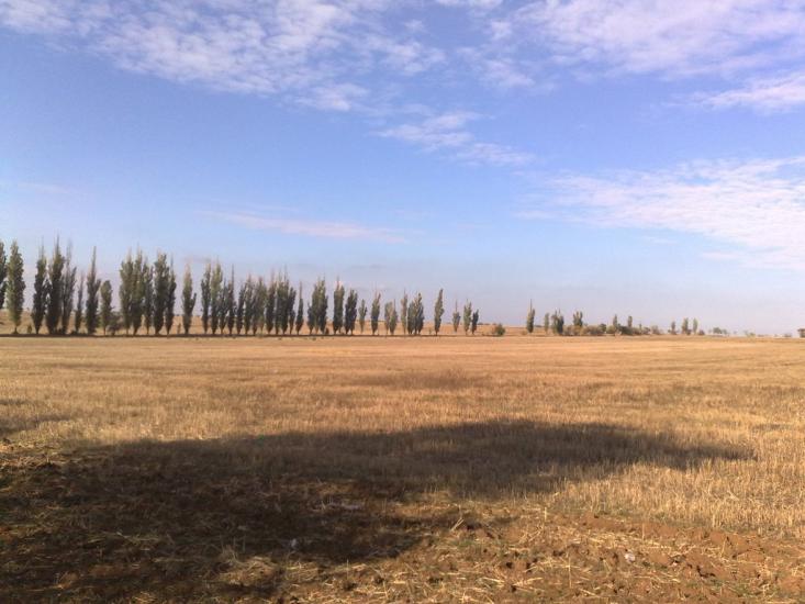 Родникове з panoramio.com - Родниковое