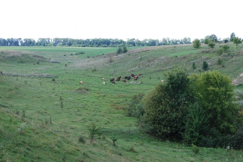 Річки з panoramio.com - Речки