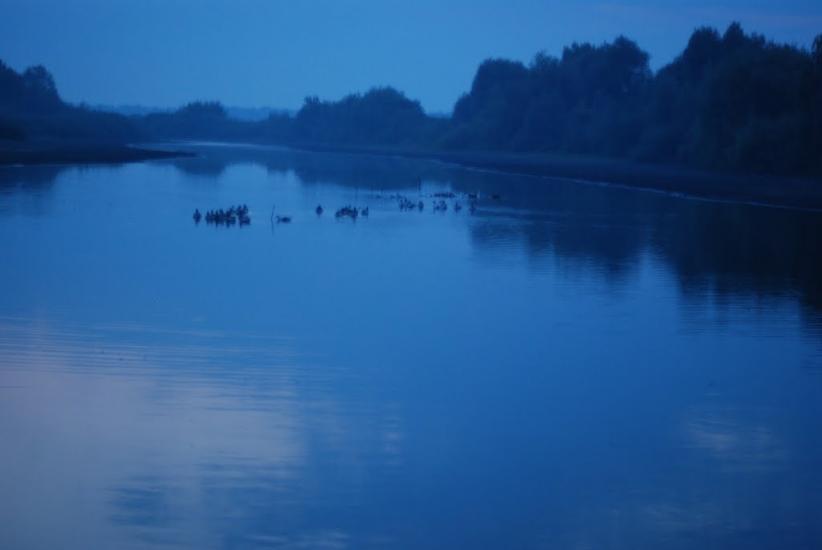 Ліщани з panoramio.com - Лещаны