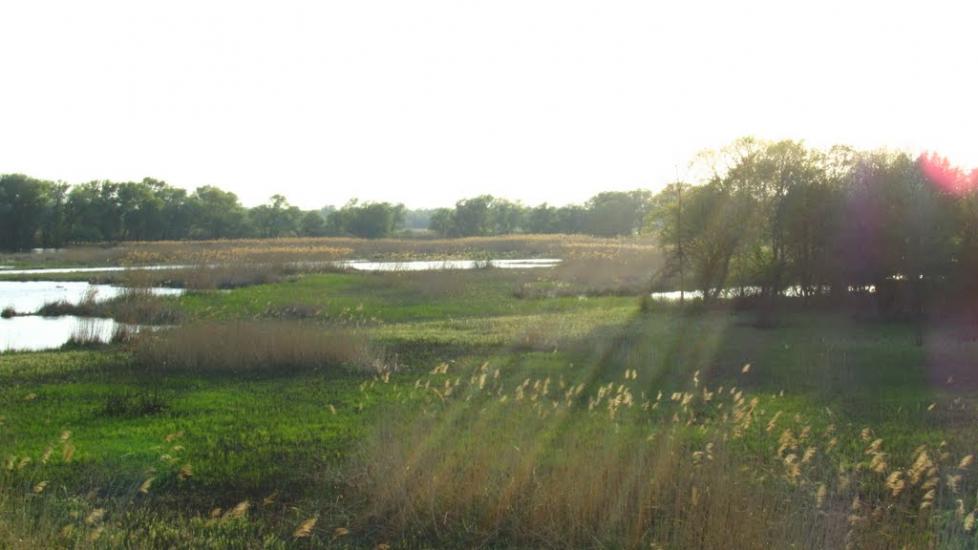 Дзержинське з panoramio.com - Дзержинське