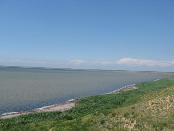 Волошине з panoramio.com - Волошине