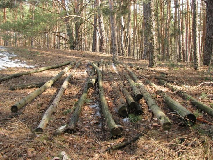Підлісне з panoramio.com - Pidlisne