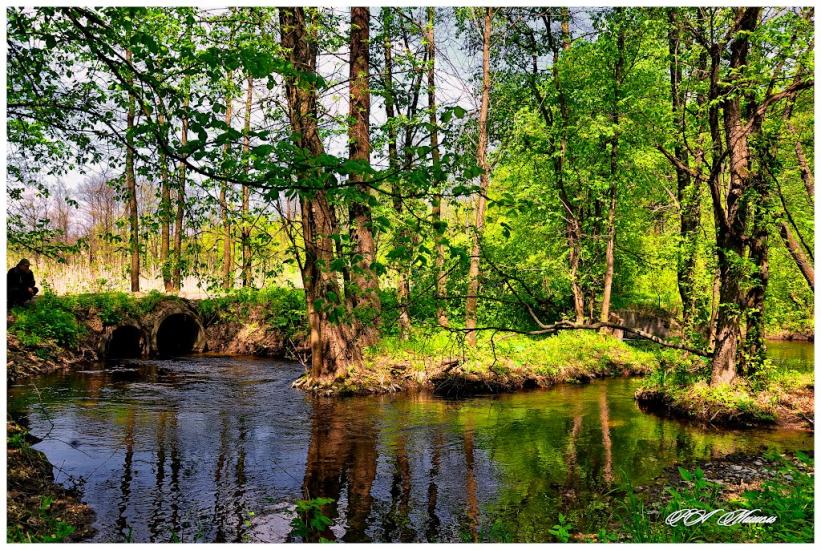 Серебрянка з panoramio.com - Серебрянка