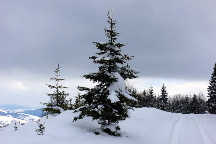 Лавочне з panoramio.com - Лавочное