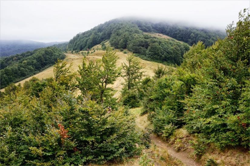 Тюшка з panoramio.com - Тюшка