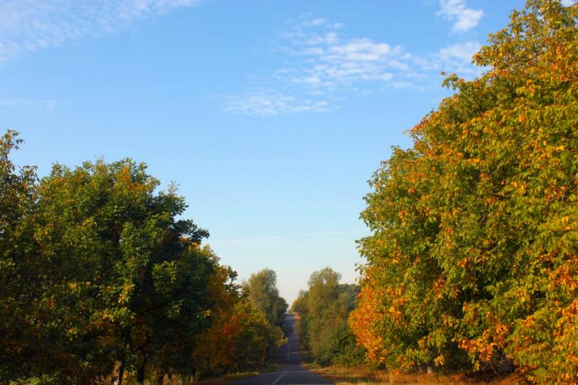 Мала Киріївка з panoramio.com - Mala Kyriyivka