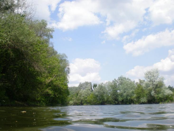 Крива Лука з panoramio.com - Крива Лука