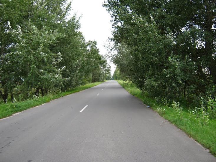 Велика Димерка з panoramio.com - Великая Дымерка