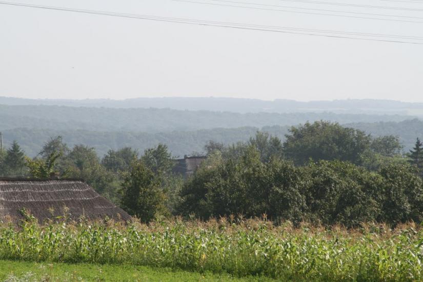 Тарасівці з panoramio.com - Тарасовцы