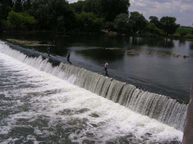 Осички з panoramio.com - Осички